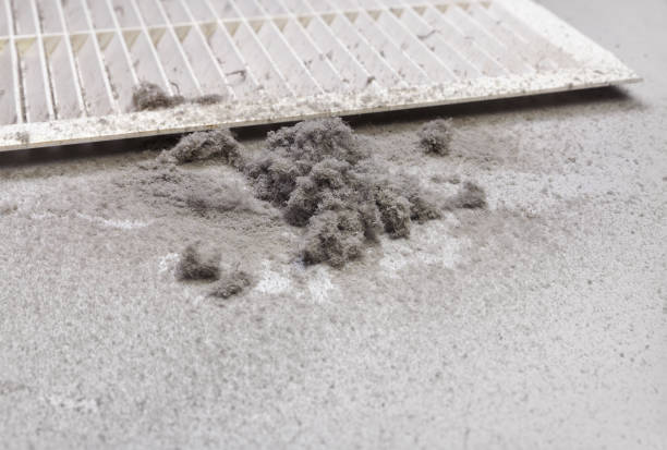 Best HVAC System Cleaning  in Bowie, MD
