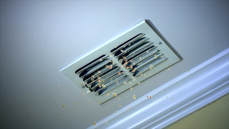 Best Professional Duct Cleaning Services  in Bowie, MD